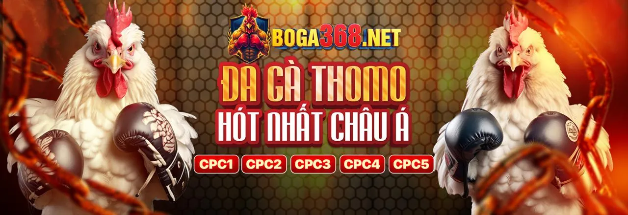 Sân vận động với biểu tượng cá cược thể thao bet888